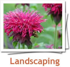 Landscaping Photo Album - Metamorphosis Landscape Design, Long Island, NY